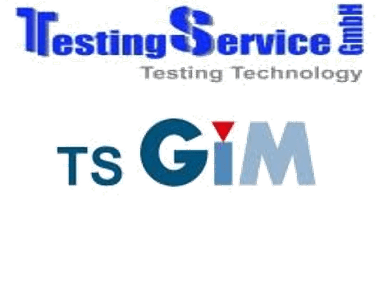 TestingServiceTSGiM.png